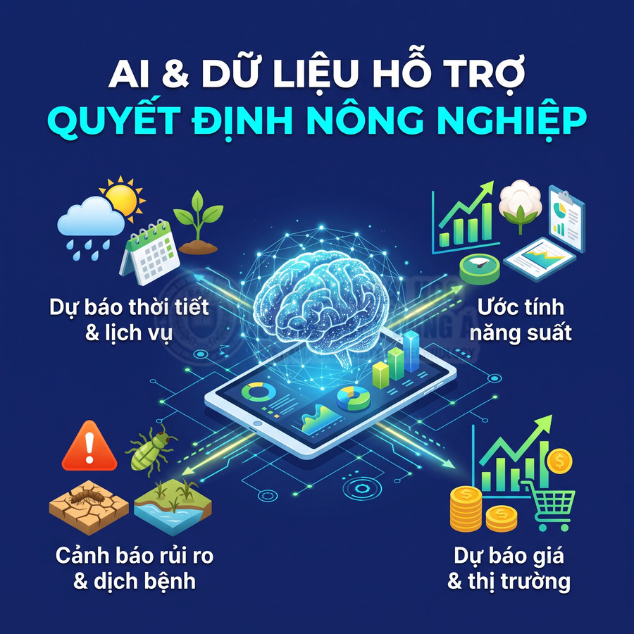 AI và dữ liệu hỗ trợ quyết định nông nghiệp, dự báo thời tiết, năng suất, rủi ro dịch bệnh và giá thị trường