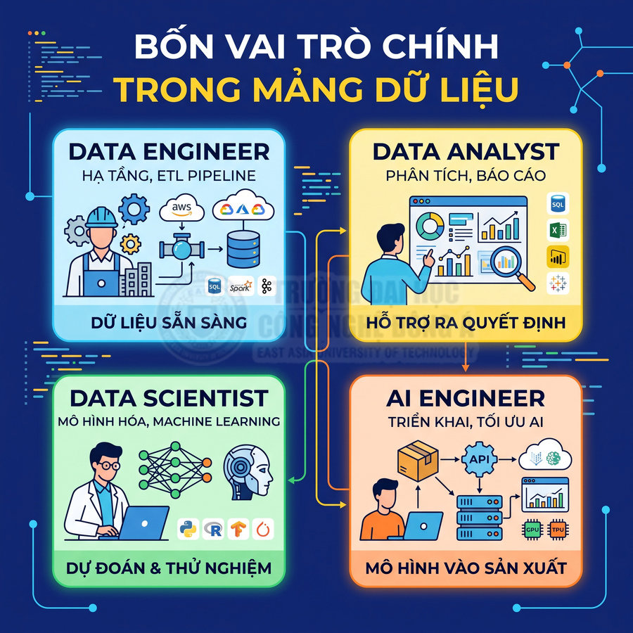 Infographic bốn vai trò chính trong ngành dữ liệu gồm Data Engineer, Data Analyst, Data Scientist và AI Engineer