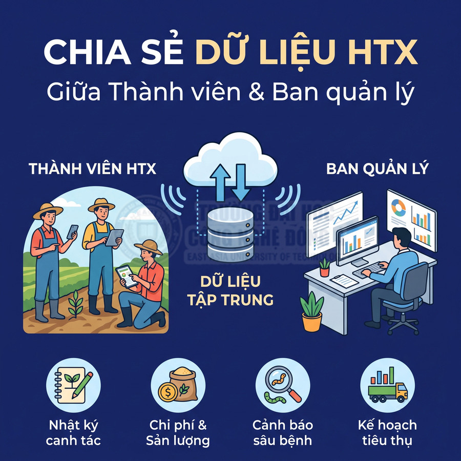 Chia sẻ dữ liệu HTX giữa thành viên và ban quản lý, tập trung nhật ký canh tác, chi phí, sản lượng, cảnh báo sâu bệnh và kế hoạch tiêu thụ