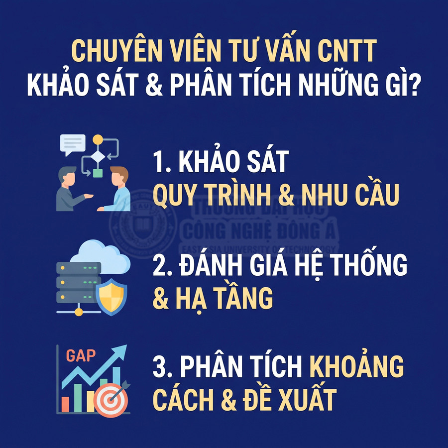 Chuyên viên tư vấn CNTT khảo sát quy trình, nhu cầu, hệ thống, hạ tầng và phân tích khoảng cách để đề xuất giải pháp.