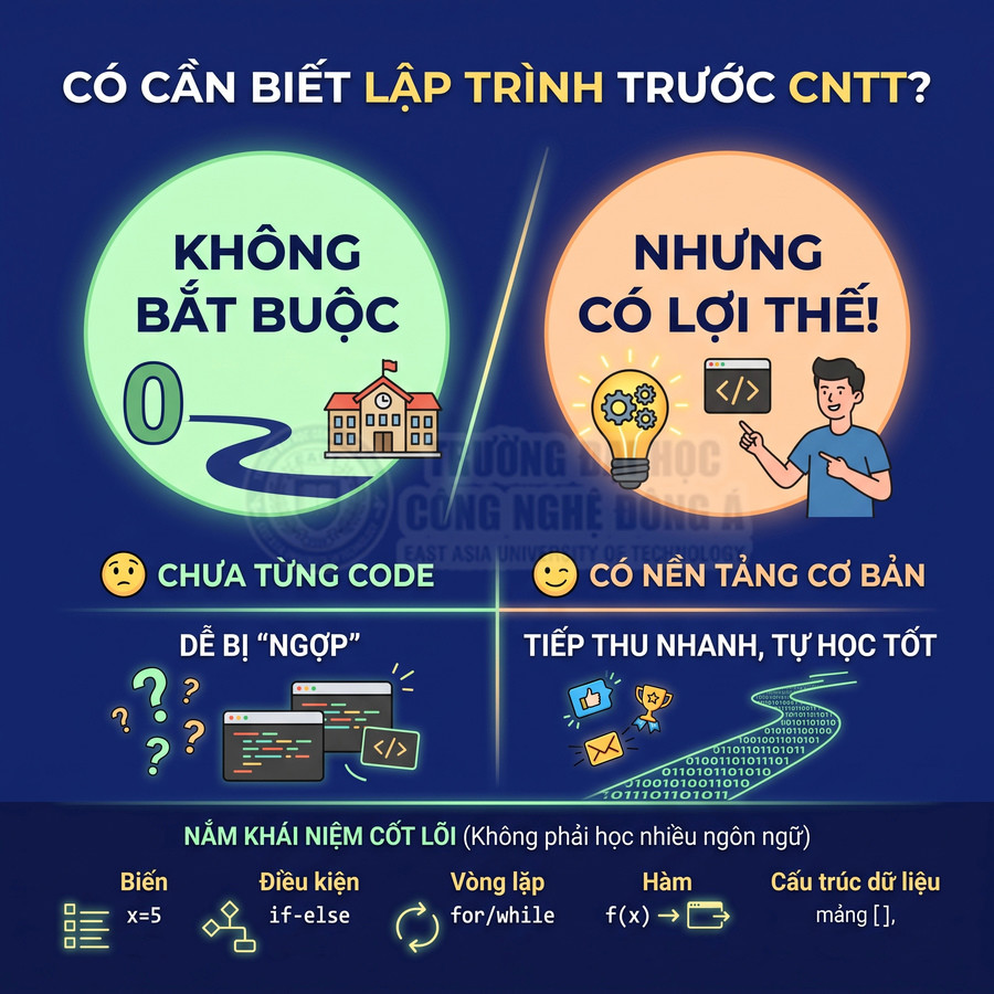 Infographic giải thích có cần biết lập trình trước khi học CNTT và lợi ích của nền tảng lập trình cơ bản