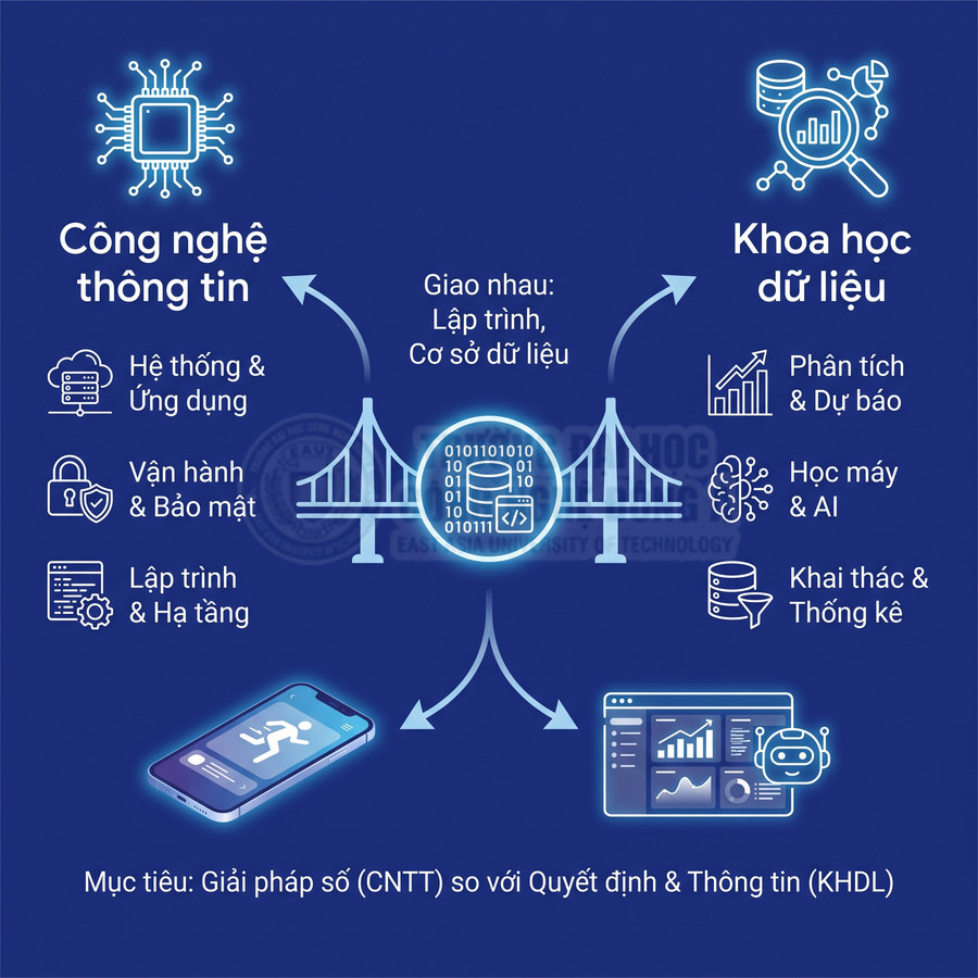 Sơ đồ kết nối công nghệ thông tin và khoa học dữ liệu, minh họa lập trình, AI, phân tích dữ liệu và ứng dụng số