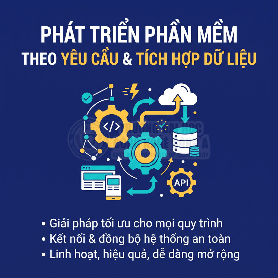 Dịch vụ phát triển phần mềm theo yêu cầu và tích hợp dữ liệu với biểu tượng API, cơ sở dữ liệu và thiết bị điện tử