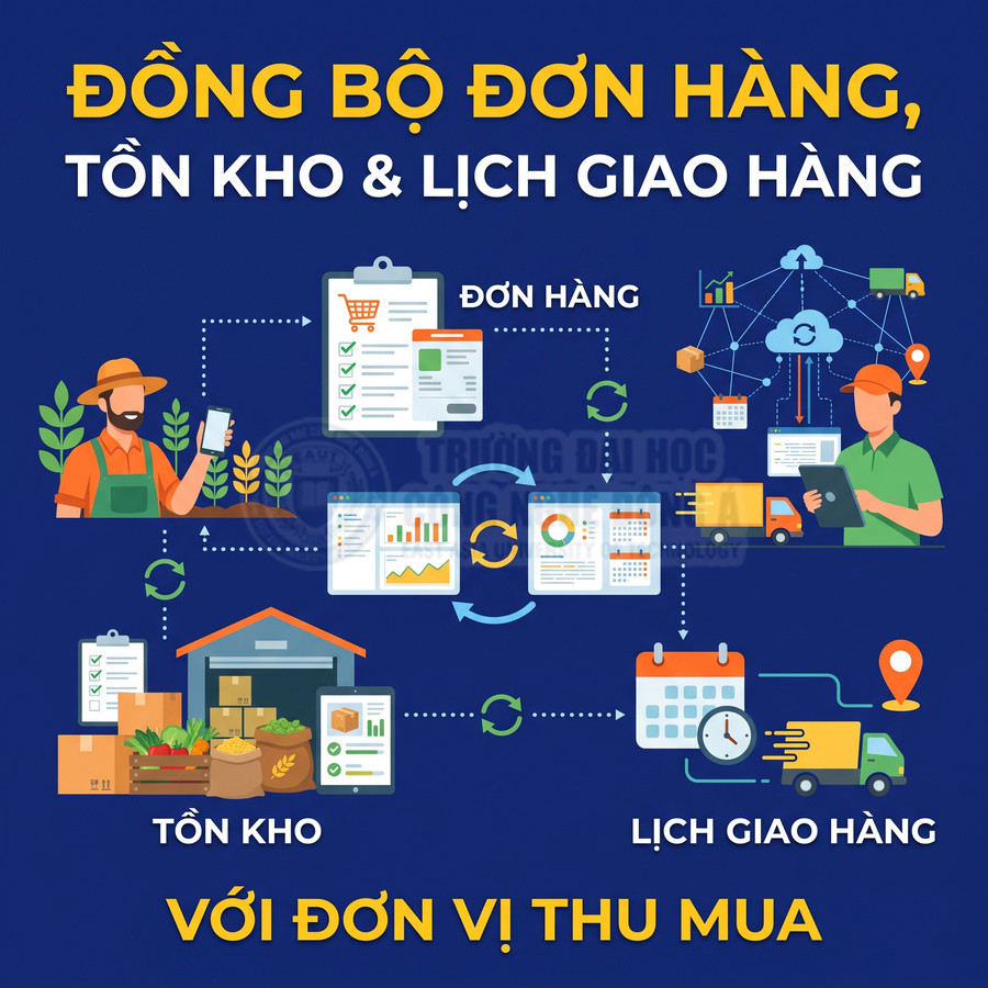 Giải pháp đồng bộ đơn hàng, tồn kho và lịch giao hàng cho đơn vị thu mua