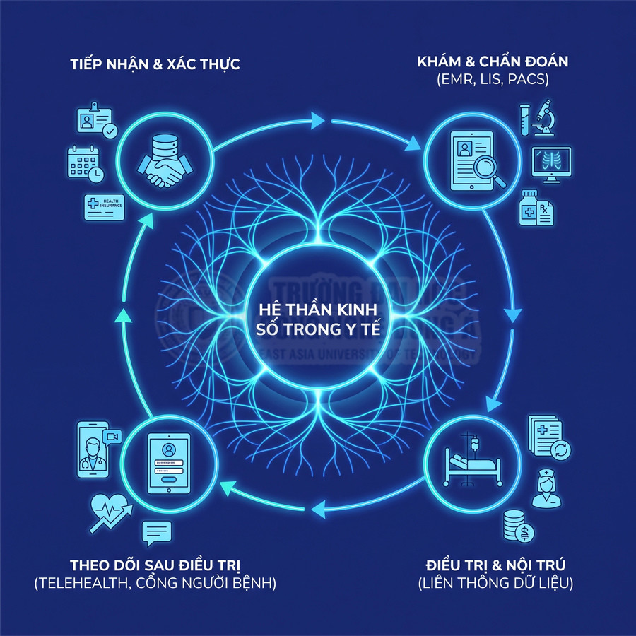 Hệ thần kinh số trong y tế kết nối tiếp nhận, chẩn đoán, điều trị và theo dõi bệnh nhân loo