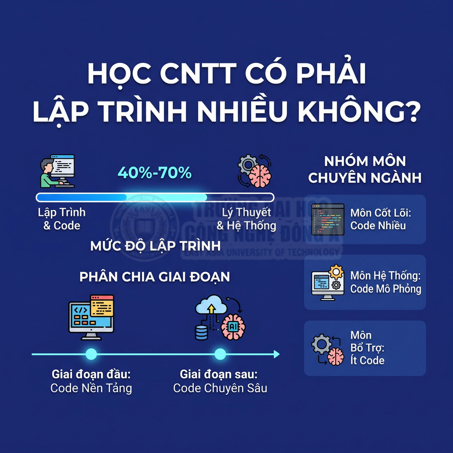 Infographic tỷ lệ lập trình trong ngành CNTT, chia giai đoạn học code nền tảng và code chuyên sâu cùng nhóm môn chuyên ngành