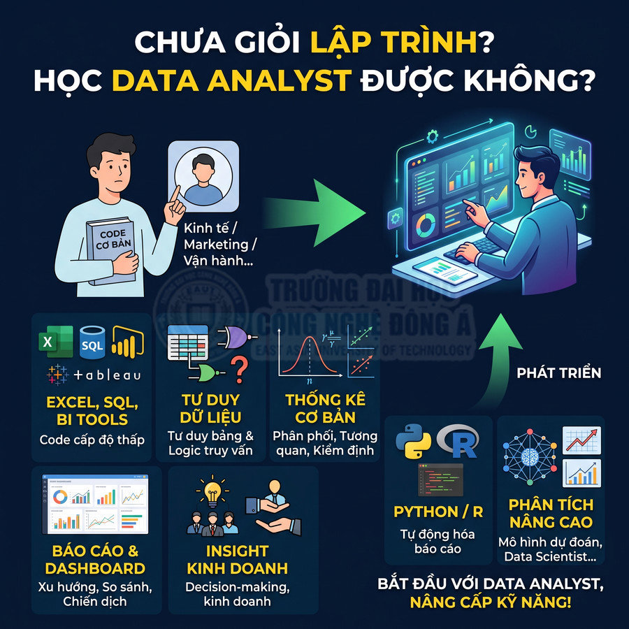 Infographic lộ trình học Data Analyst từ Excel, SQL, BI tools đến Python R và phân tích dữ liệu nâng cao