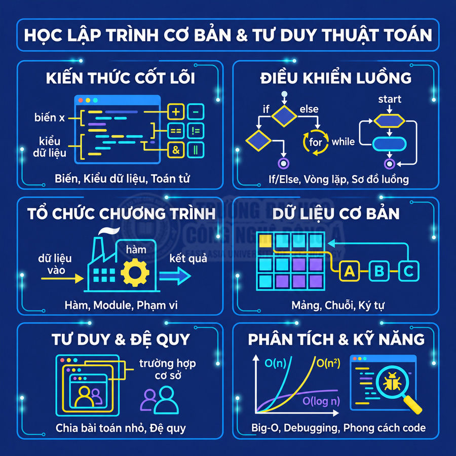 Infographic các chủ đề học lập trình cơ bản và tư duy thuật toán cho người mới bắt đầu