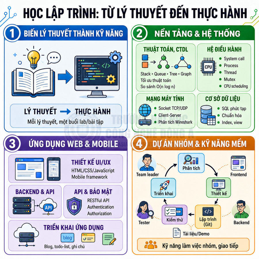 Lộ trình học lập trình từ lý thuyết đến thực hành gồm nền tảng, web mobile, dự án nhóm và kỹ năng mềm