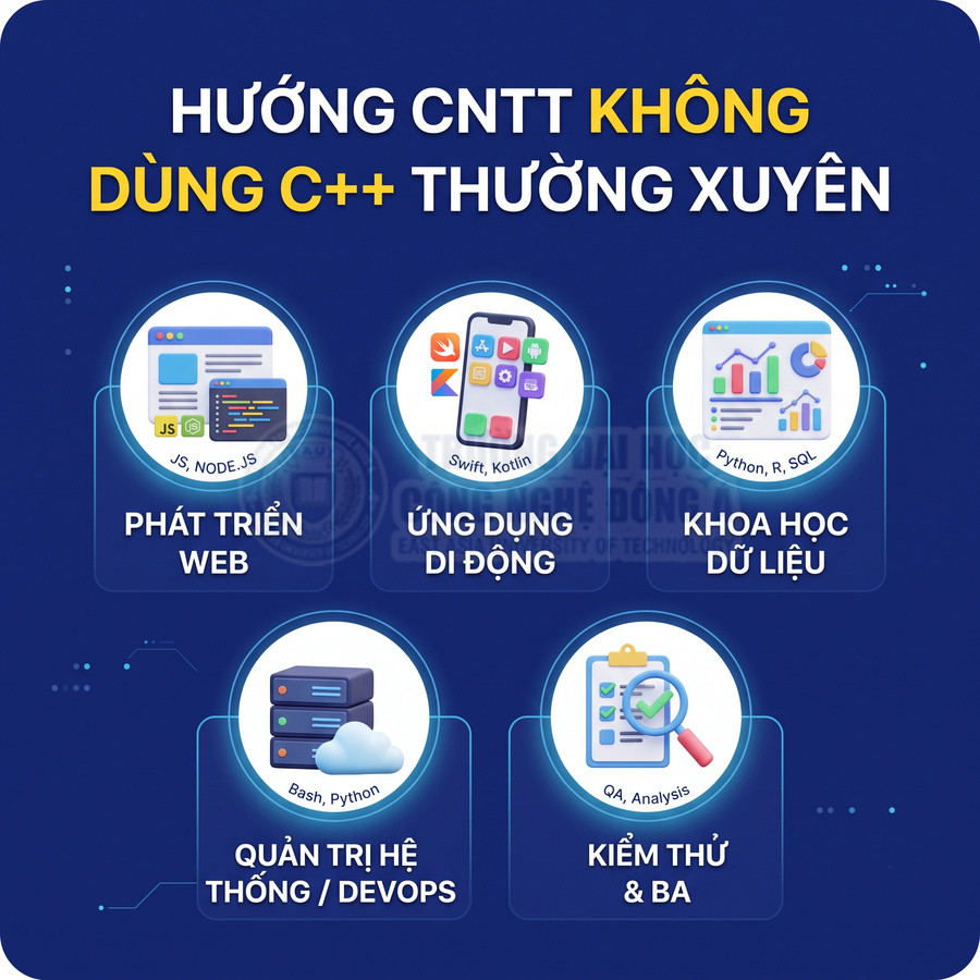 Các hướng ngành CNTT không dùng C++ thường xuyên như web, mobile, data, DevOps, kiểm thử BA