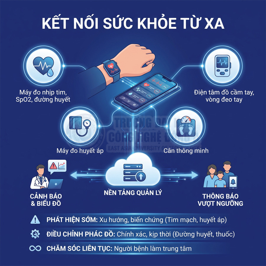 Minh họa kết nối thiết bị theo dõi sức khỏe từ xa với nền tảng quản lý và cảnh báo y tế qua điện thoại thông minh