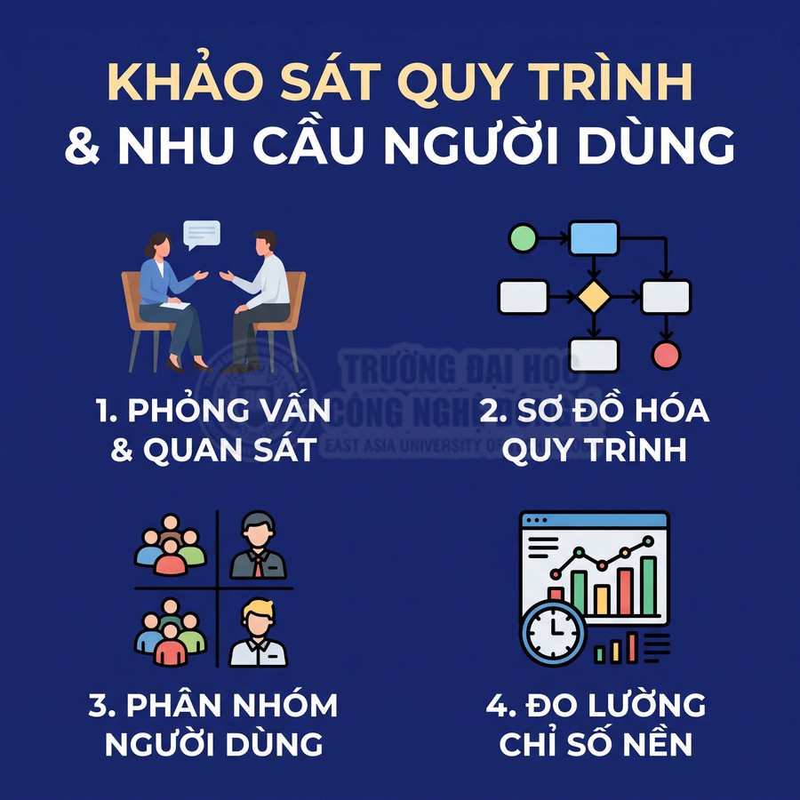 Các bước khảo sát quy trình và nhu cầu người dùng gồm phỏng vấn, sơ đồ hóa quy trình, phân nhóm và đo lường chỉ số nền