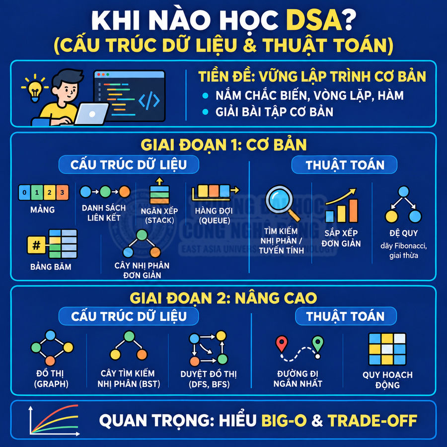 Infographic lộ trình học cấu trúc dữ liệu và thuật toán DSA từ cơ bản đến nâng cao