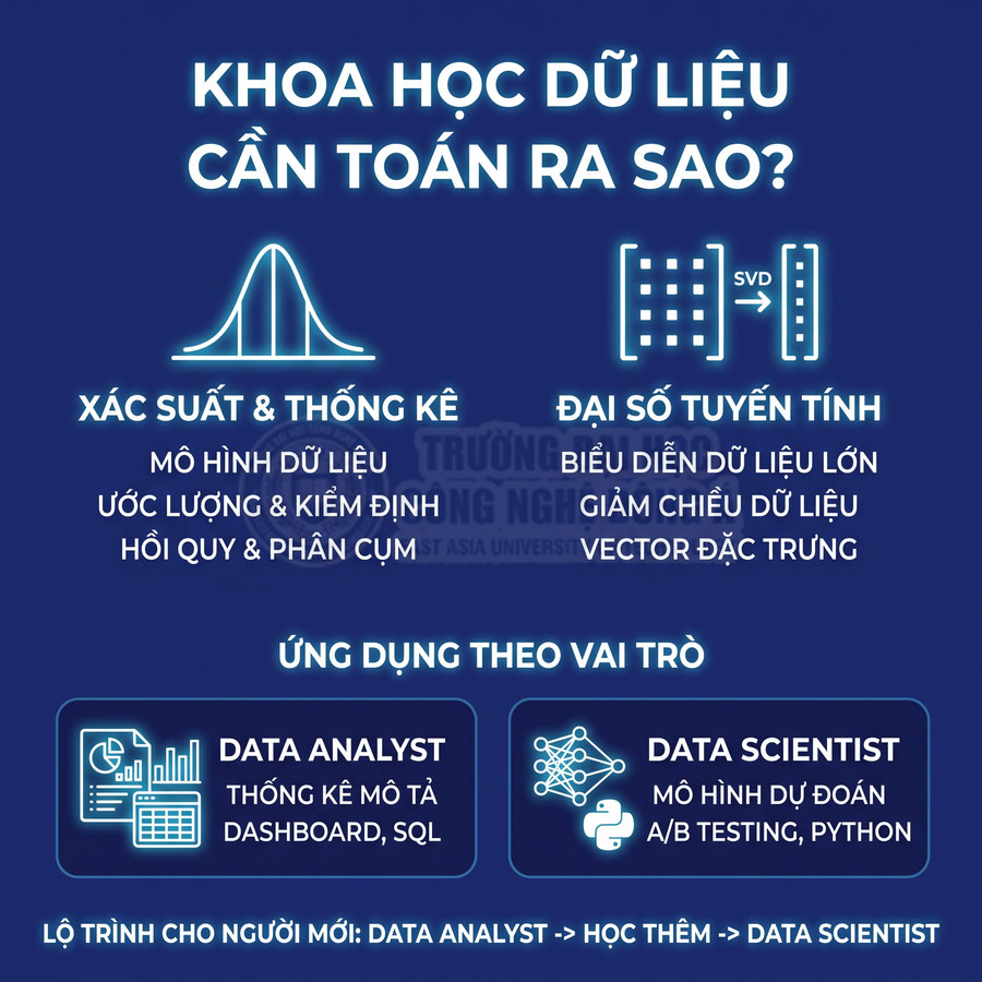 Infographic kiến thức toán cho khoa học dữ liệu, gồm xác suất thống kê, đại số tuyến tính, data analyst và data scientist