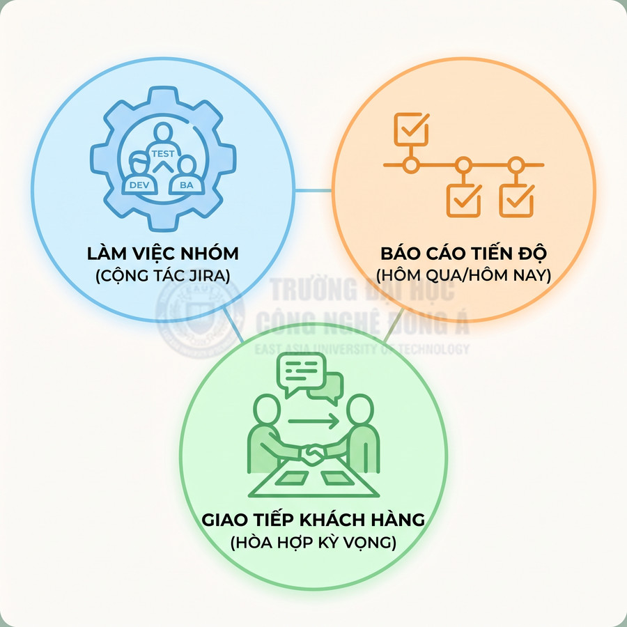 Mô hình kỹ năng IT gồm làm việc nhóm với JIRA, báo cáo tiến độ và giao tiếp khách hàng hòa hợp kỳ vọng