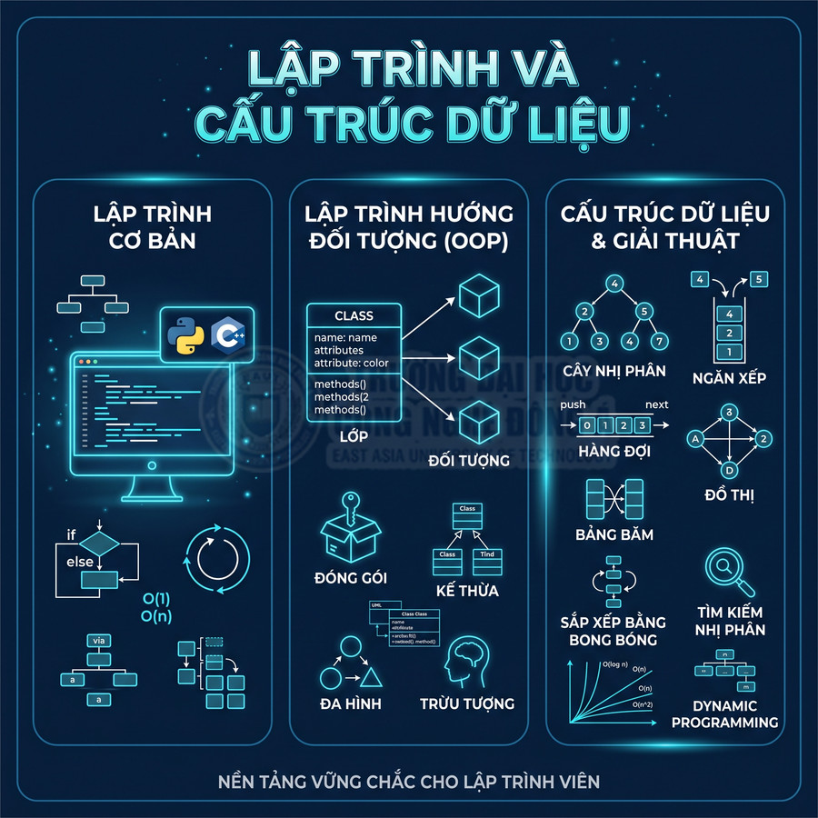 Sơ đồ kiến thức lập trình và cấu trúc dữ liệu gồm lập trình cơ bản, OOP, giải thuật trực quan