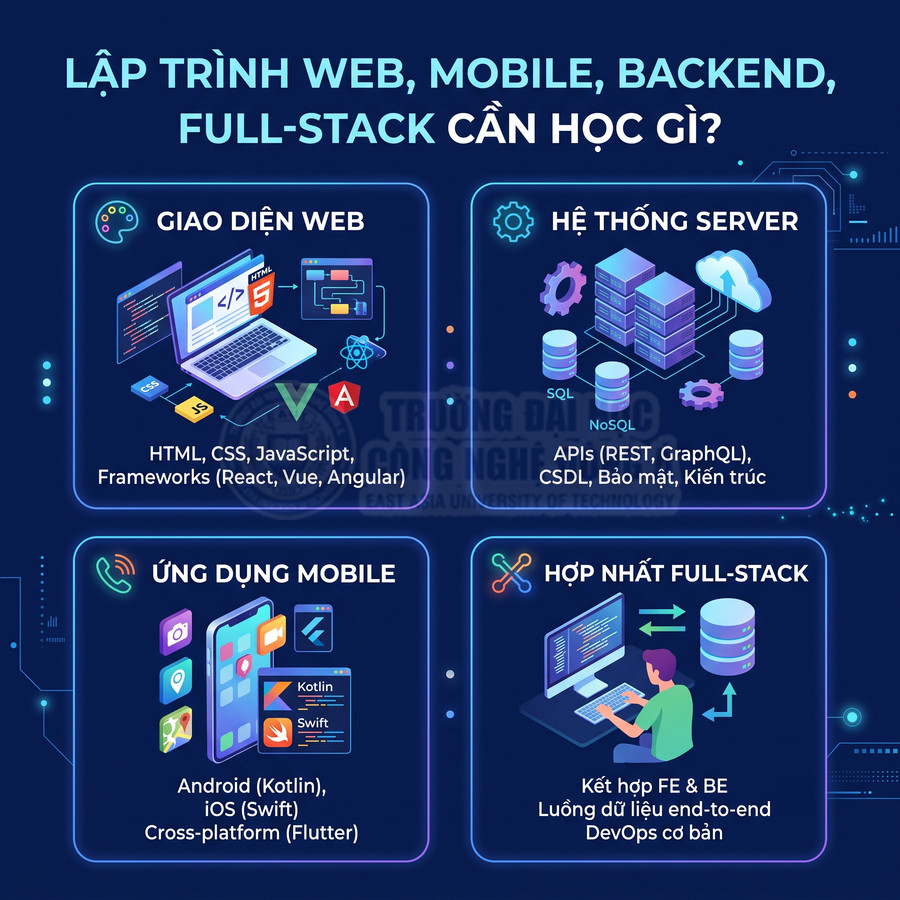 Infographic các kỹ năng cần học cho lập trình web, mobile, backend và full stack với icon minh họa sinh động