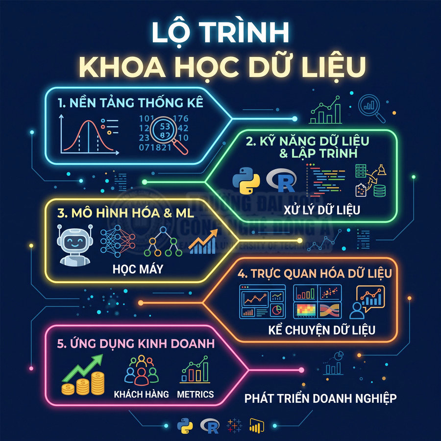 Lộ trình học khoa học dữ liệu với các bước từ nền tảng thống kê đến ứng dụng kinh doanh