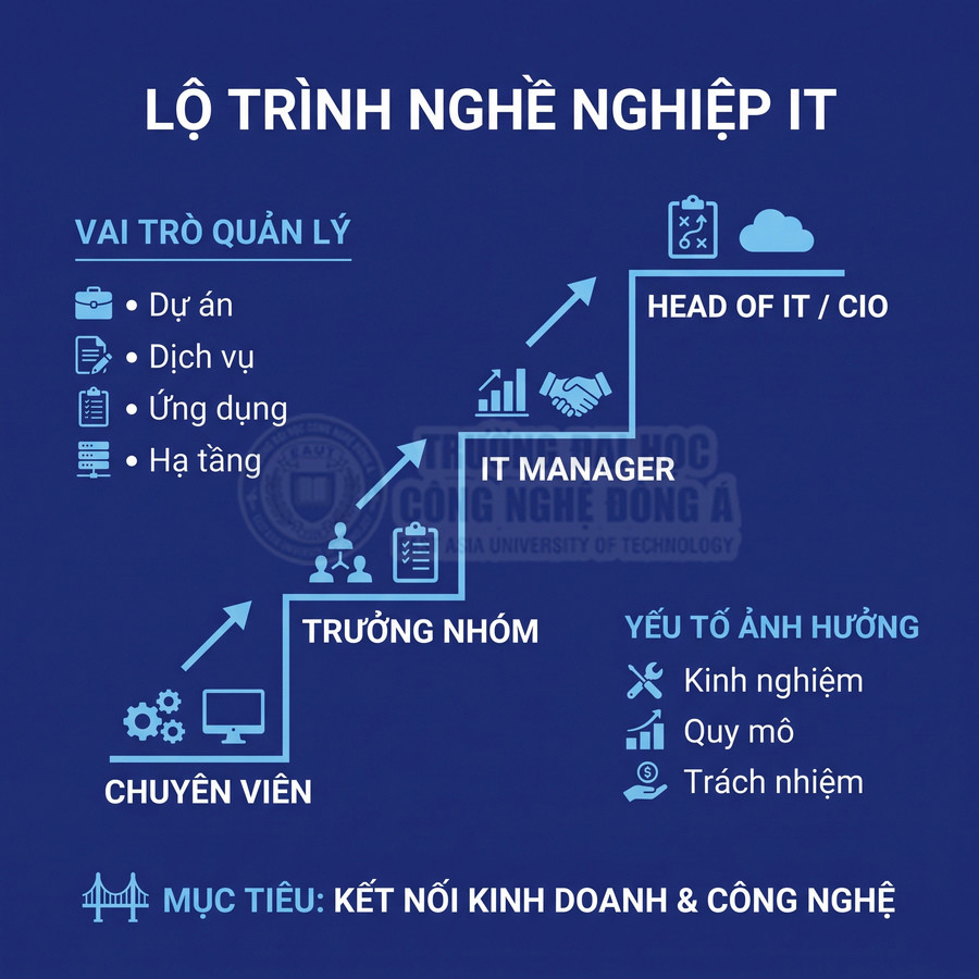 Lộ trình nghề nghiệp IT từ chuyên viên đến trưởng nhóm, quản lý IT và Head of IT hoặc CIO