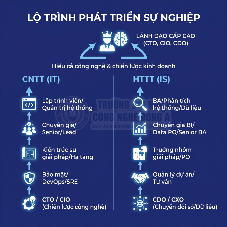 Lộ trình phát triển sự nghiệp ngành CNTT và HTTT từ vị trí khởi điểm đến lãnh đạo cấp cao CTO CIO CDO