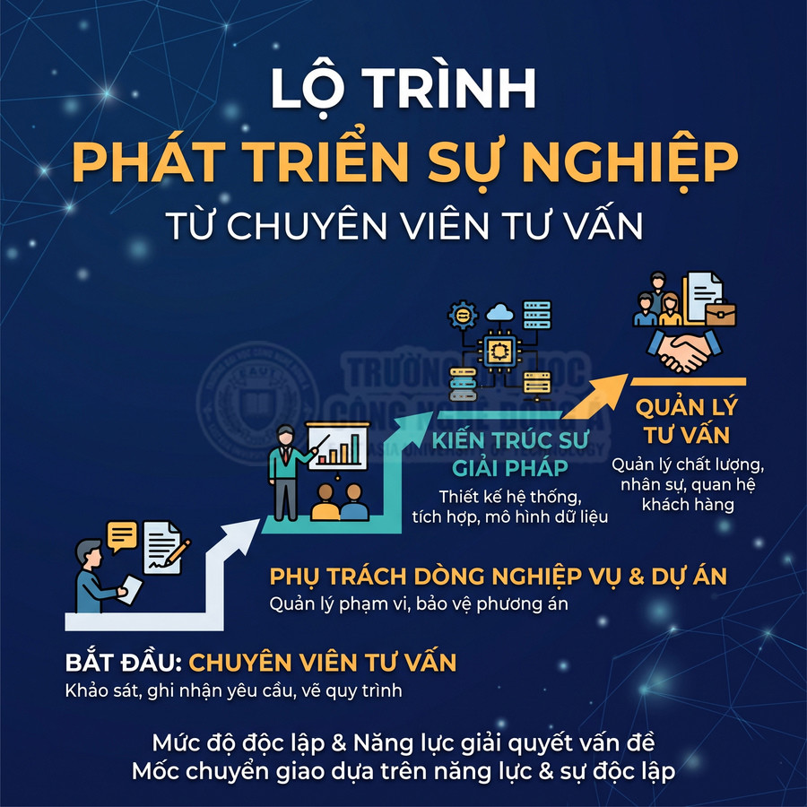 Lộ trình phát triển từ chuyên viên tư vấn qua phụ trách dự án, kiến trúc sư giải pháp đến quản lý tư vấn