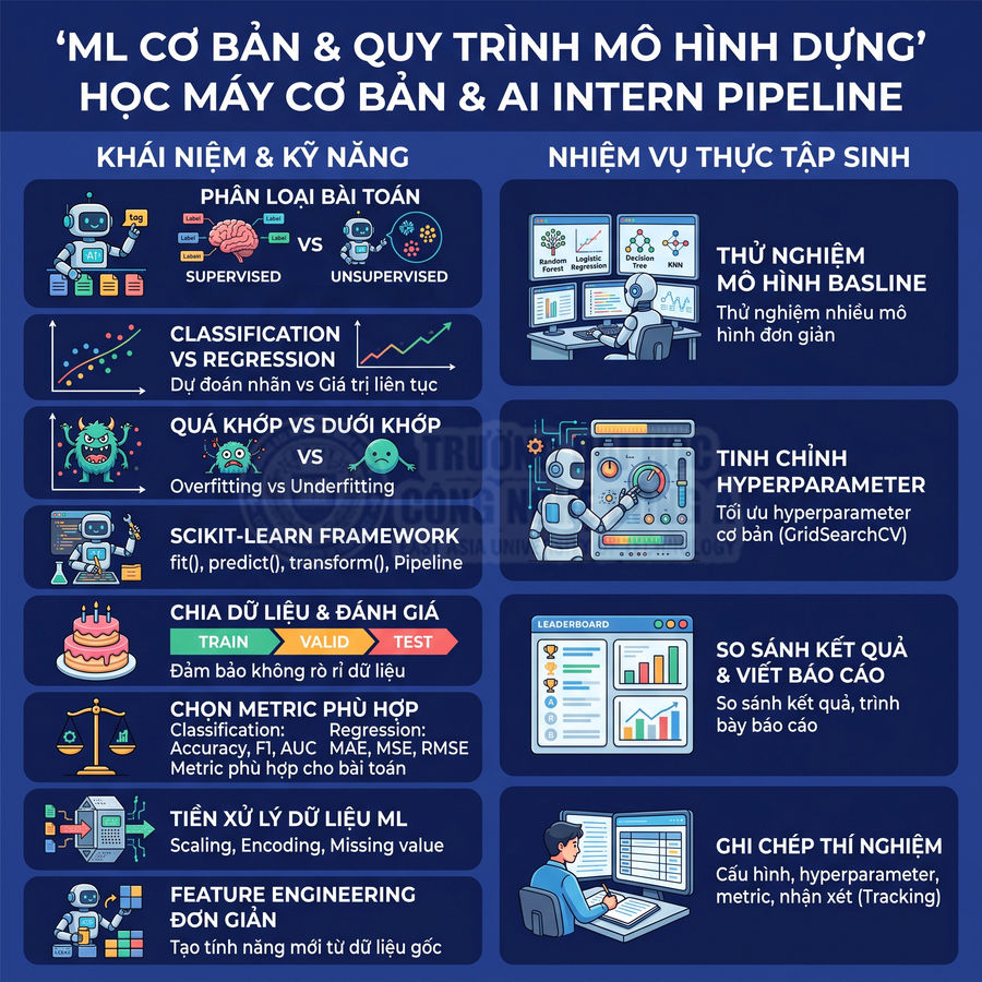 Infographic quy trình học máy cơ bản và nhiệm vụ thực tập sinh AI, minh họa khái niệm, kỹ năng và các bước xây dựng mô hình