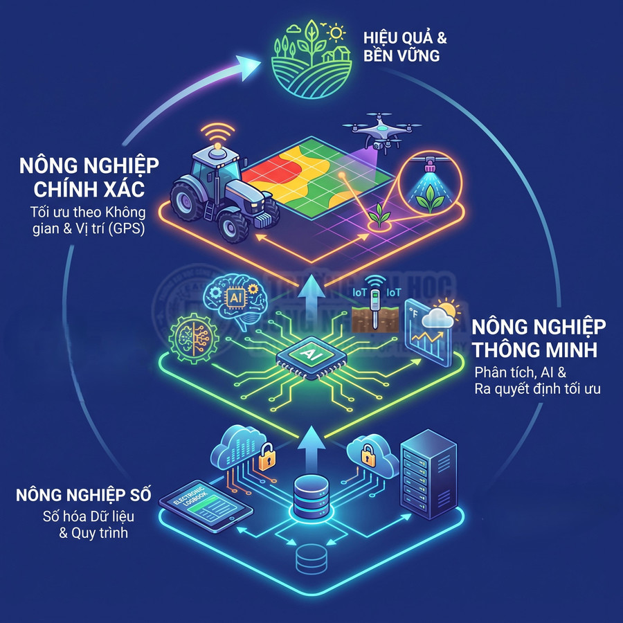 Mô hình nông nghiệp thông minh kết hợp dữ liệu số, trí tuệ nhân tạo, GPS và máy kéo tự hành để tối ưu canh tác bền vững