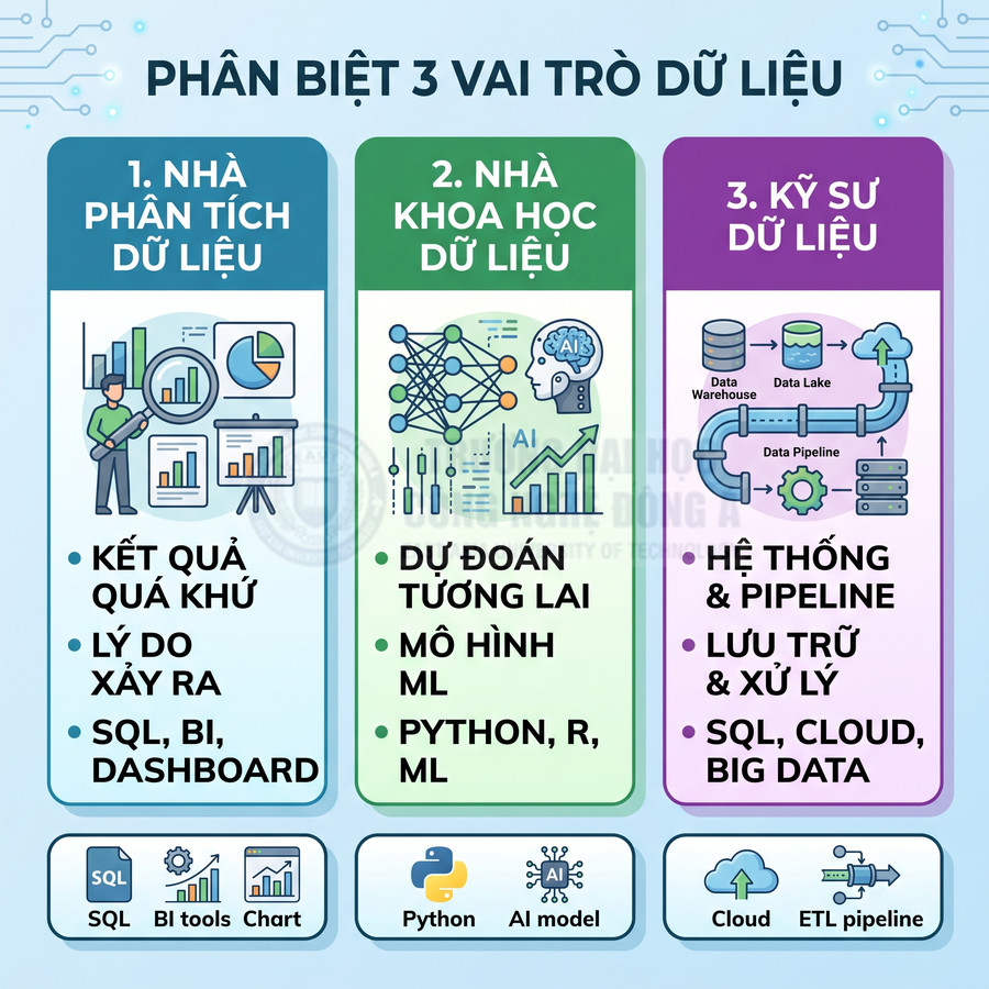 So sánh vai trò nhà phân tích dữ liệu, nhà khoa học dữ liệu và kỹ sư dữ liệu cùng kỹ năng chính