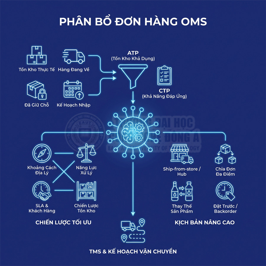 Quy trình phân bổ đơn hàng OMS với ATP, CTP, chiến lược tối ưu, kịch bản nâng cao và kế hoạch vận chuyển TMS