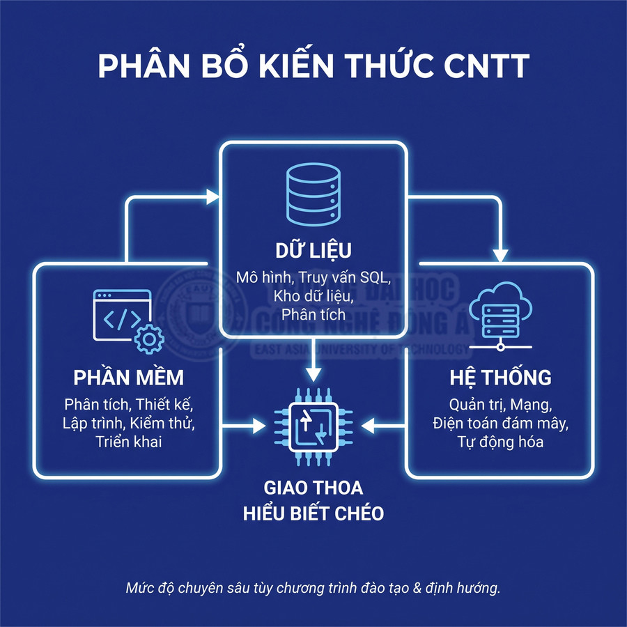 Sơ đồ phân bổ kiến thức CNTT gồm dữ liệu, phần mềm và hệ thống, kết nối tại giao thoa hiểu biết chéo