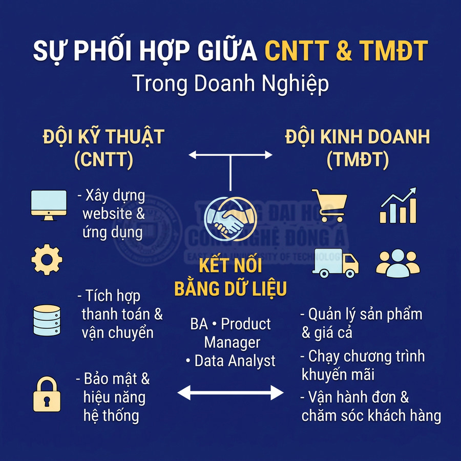 Sự phối hợp giữa đội kỹ thuật CNTT và đội kinh doanh thương mại điện tử trong doanh nghiệp bằng dữ liệu