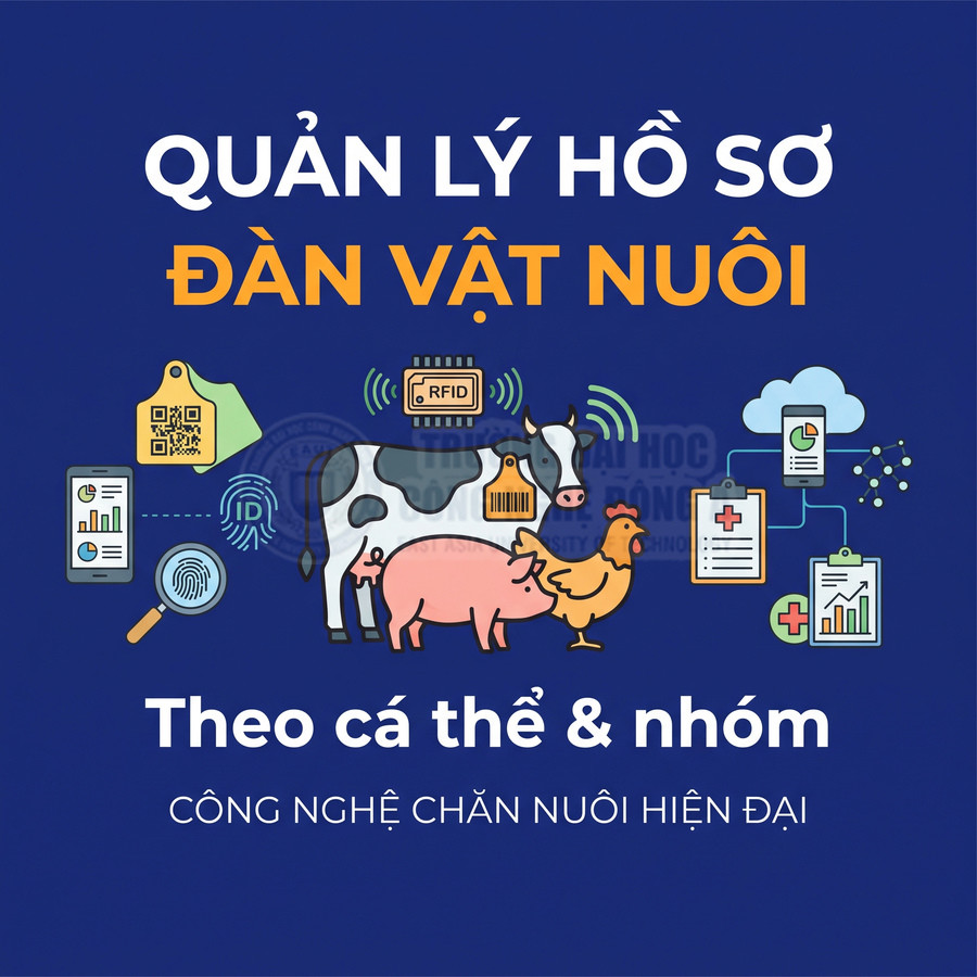 Phần mềm quản lý hồ sơ vật nuôi theo cá thể và nhóm, ứng dụng công nghệ RFID và mã QR trong chăn nuôi hiện đại