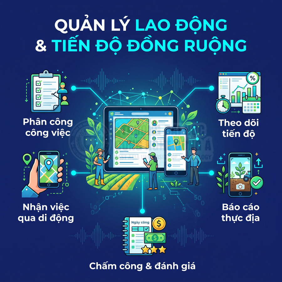 Phần mềm quản lý lao động và tiến độ đồng ruộng trên máy tính bảng và điện thoại di động