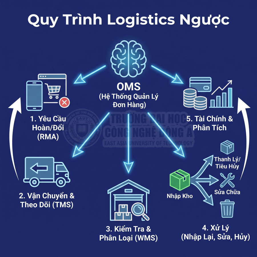 Quy trình logistics ngược với OMS, yêu cầu hoàn đổi, vận chuyển, kiểm tra phân loại, xử lý hàng và phân tích tài chính