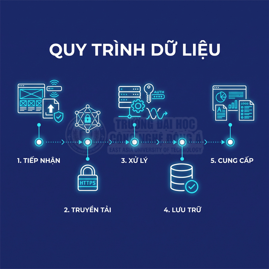 Quy trình dữ liệu gồm tiếp nhận, truyền tải an toàn, xử lý, lưu trữ và cung cấp thông tin