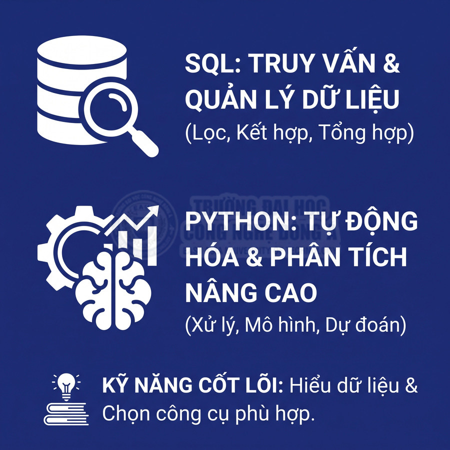 SQL truy vấn và quản lý dữ liệu, Python tự động hóa và phân tích nâng cao, cùng kỹ năng hiểu dữ liệu và chọn công cụ phù hợp