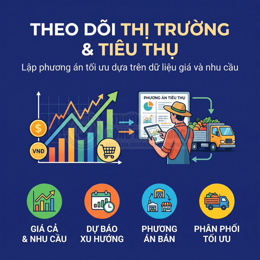 Theo dõi giá cả và nhu cầu nông sản, dự báo xu hướng, lập phương án bán và tối ưu phân phối nông sản