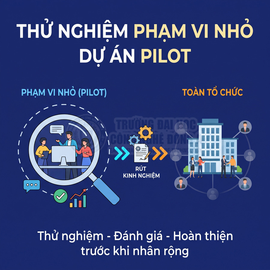 Quy trình triển khai dự án pilot: thử nghiệm phạm vi nhỏ, rút kinh nghiệm rồi nhân rộng toàn tổ chức