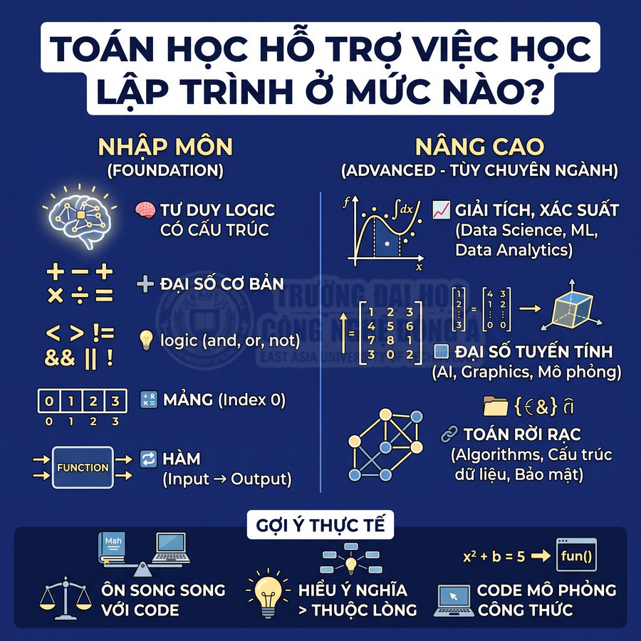 Infographic toán học hỗ trợ học lập trình với kiến thức nhập môn và nâng cao như giải tích, đại số tuyến tính, toán rời rạc