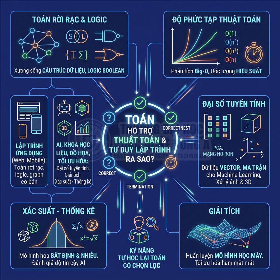 Infographic tiếng Việt về vai trò của toán học trong thuật toán, lập trình, AI và khoa học dữ liệu