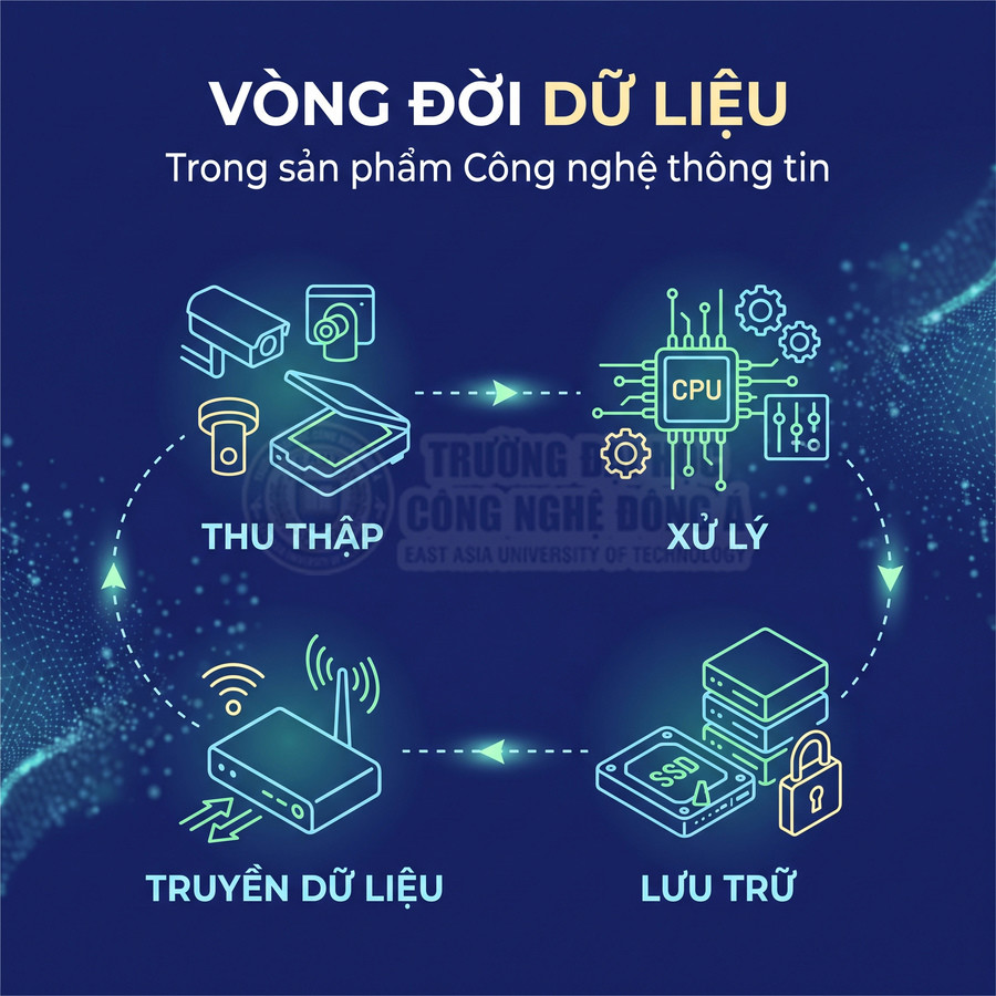 Vòng đời dữ liệu trong sản phẩm công nghệ thông tin gồm thu thập, xử lý, lưu trữ và truyền dữ liệu